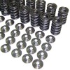 Valve Spring Set with Ti Retainers, 24v VR6